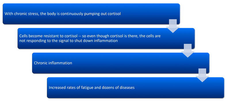 How stress causes fatigue by triggering inflammation │ Why Stress Causes Fatigue And How To Fix It, www.theenergyblueprint.com