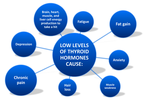 Infocraphic of what health issues low thyroid hormones cause │ Why Stress Causes Fatigue and How To Fix It, www.theenergyblueprint.com