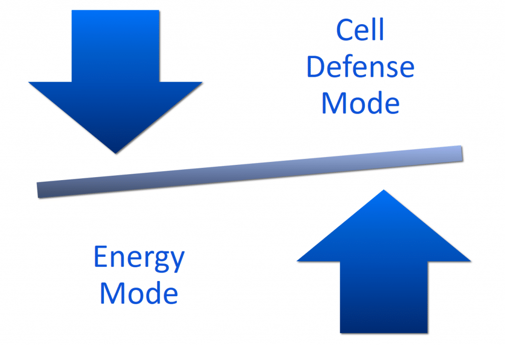 The Hidden Truth About "Adrenal Fatigue" (And The Breakthrough New ...
