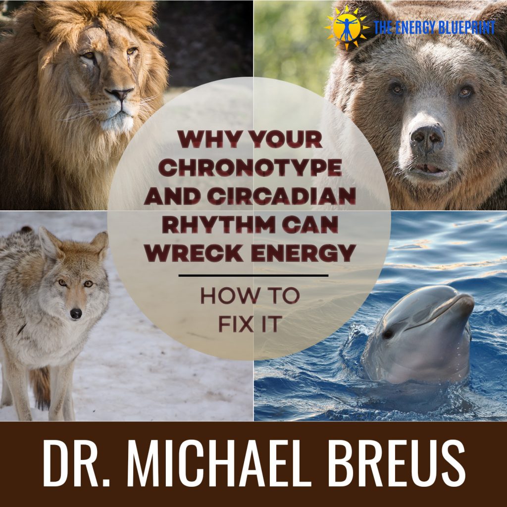 Why Your Chronotype and Circadian Rhythm Can Wreck Energy - How to Fix
