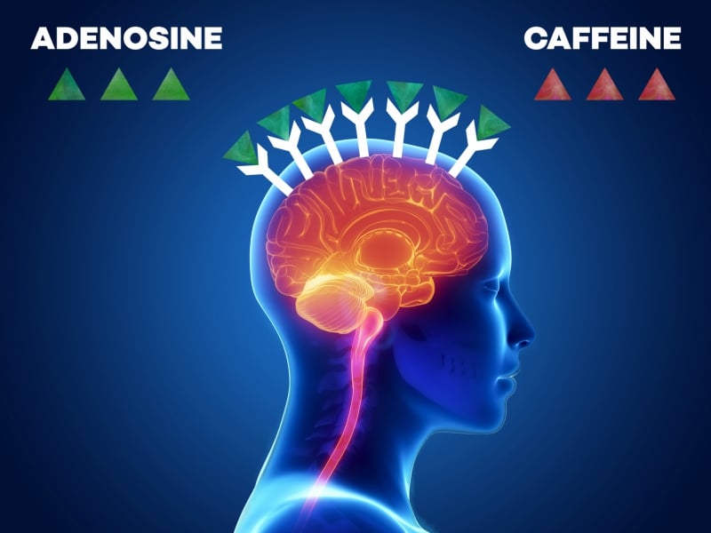 science-says-coffee-is-secretly-sabotaging-your-energy-levels-why