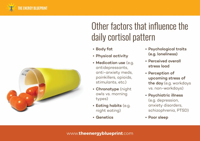 Factors that influence the daily cortisol pattern, theenergyblueprint.com
