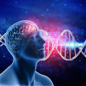 Promotes brain health and performance - Benefits of saunas