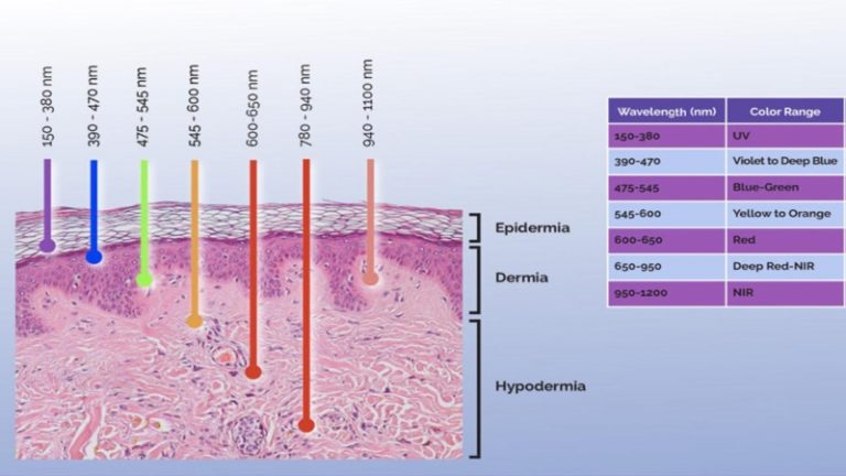 The Ultimate Guide To Red Light Therapy And Near Infrared Light Therapy