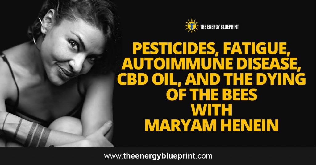 Pesticides, Fatigue, Autoimmune Disease, CBD oil, and the Dying of the Bees with Maryam Henein, theenergyblueprint.com