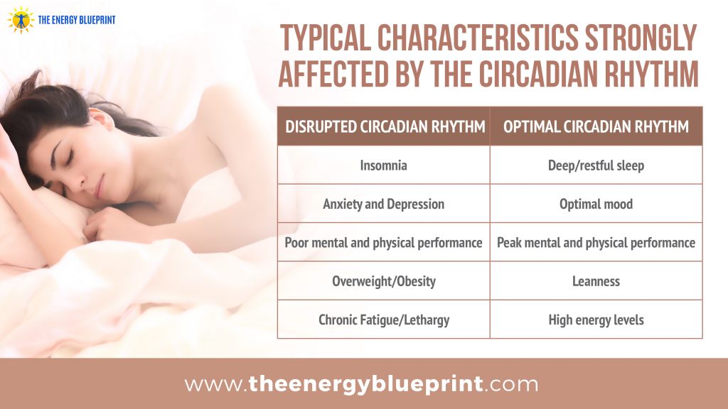 typical characteristics strongly affected by the circadian rhythm │ Blue Light Blocking glasses