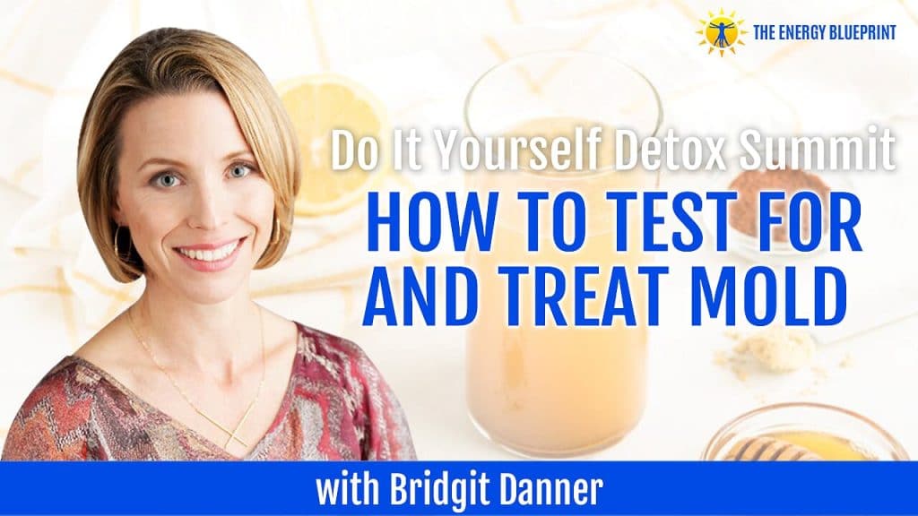 Detox Summit How to test for mold how to treat for mold Bridgit Danner