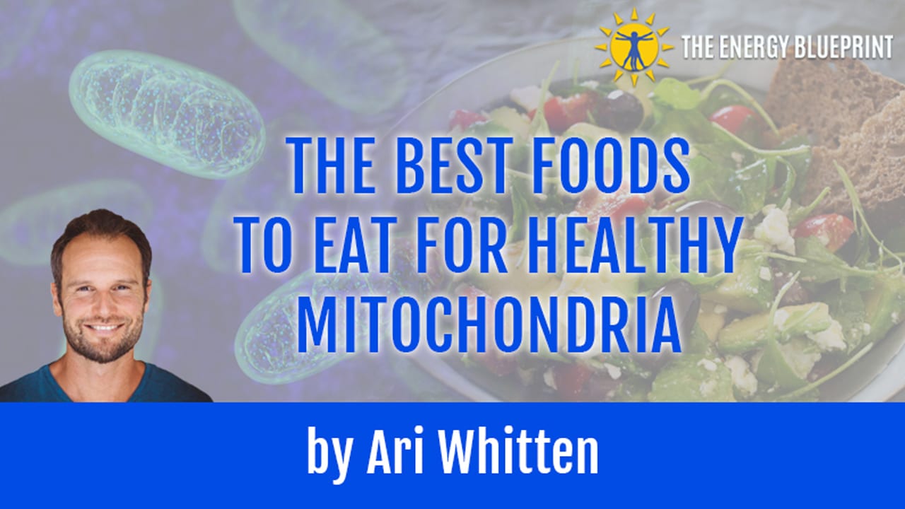 Best Foods To Eat For Healthy Mitochondria - The Energy Blueprint