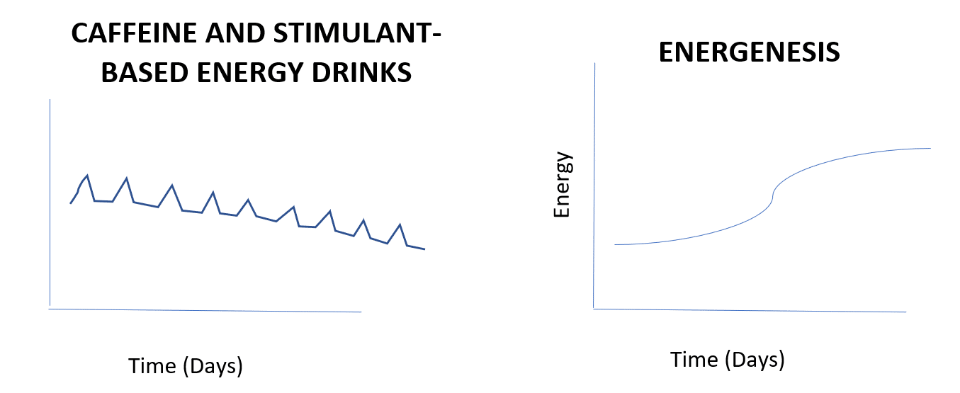 Energenesis How To Use It & FAQ The Energy Blueprint