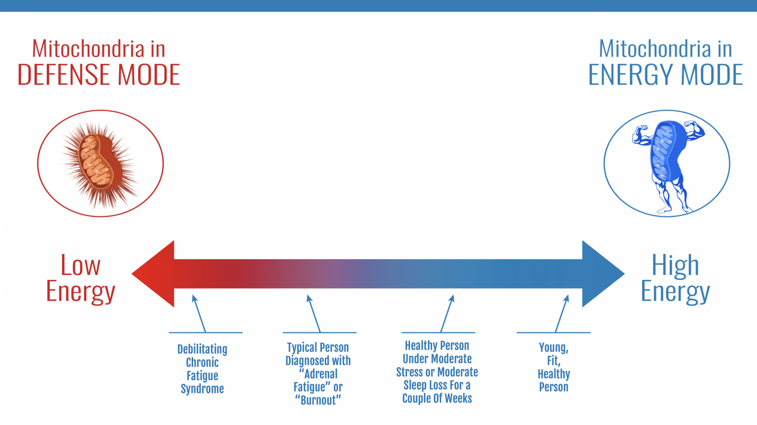 The Energy Blueprint - The Energy Blueprint