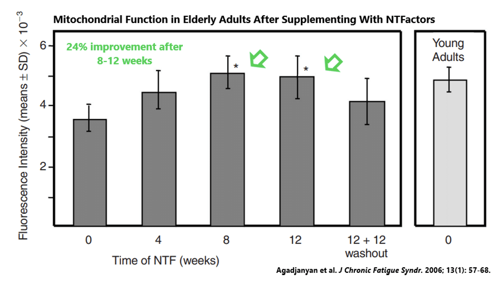 How Phospholipid Supplements Can Dramatically Increase Your Energy by