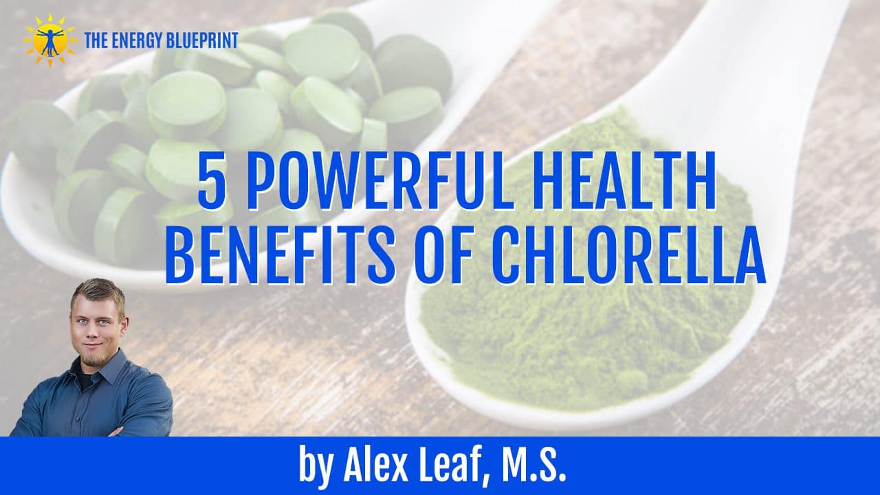 The Amazing Benefits Of Spirulina And Chlorella With Catharine Arnston ...