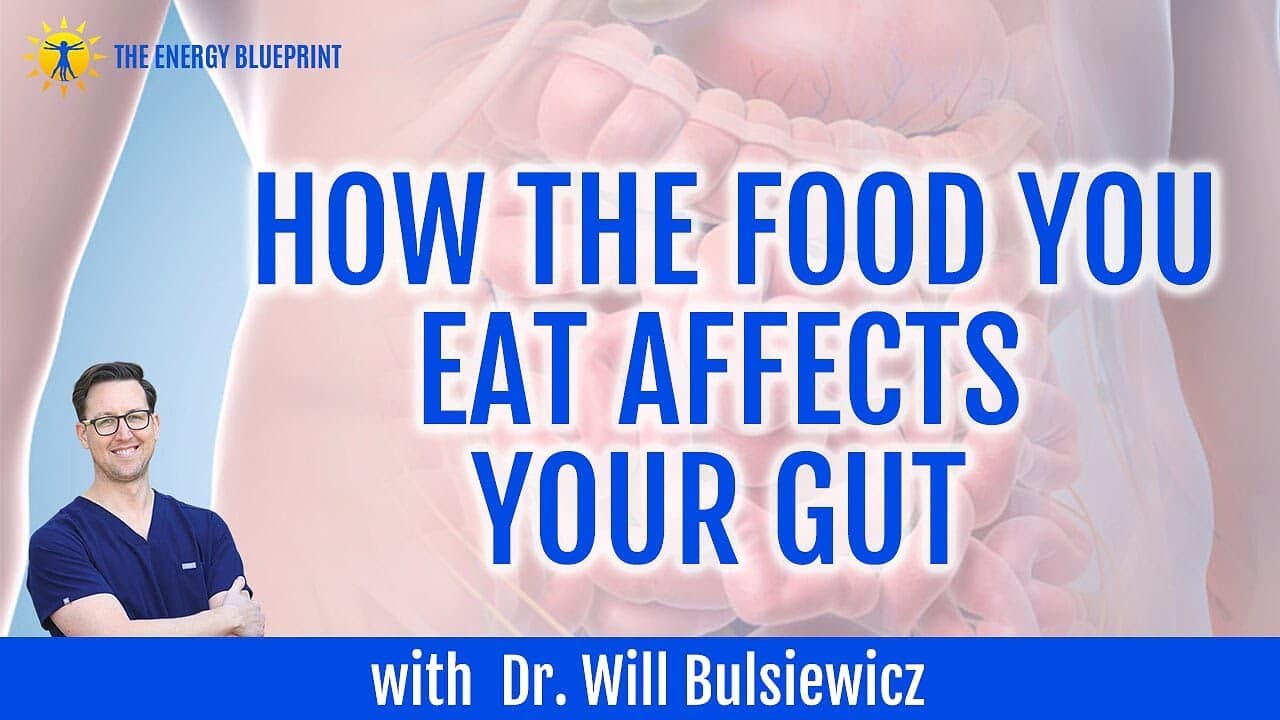 How The Food You Eat Affects Your Gut W Dr Will Bulsiewicz And Ari Whitten The Energy Blueprint