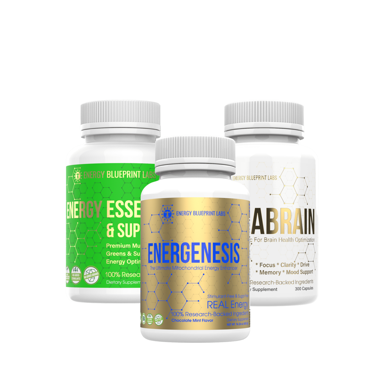 Ultimate Energy Bundle The Energy Blueprint